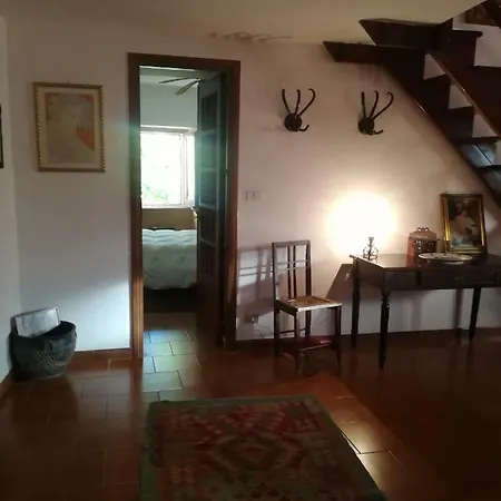 Casa Gianni Panoramic 公寓 福扎格鲁